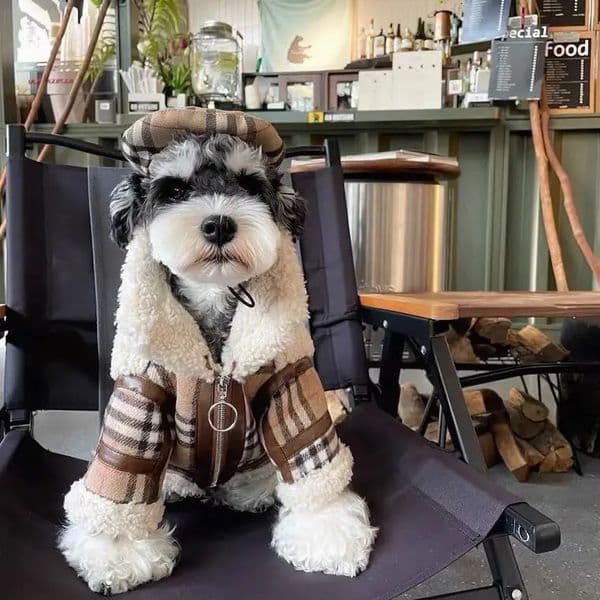 Warm Lamb Wool Coat for Dogs and Cats Dog Clothes Small Medium Size Pet Clothing Winter 241028