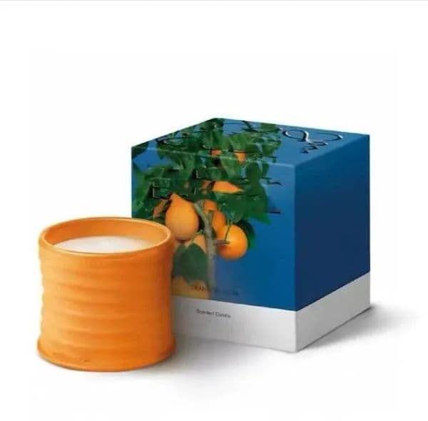 Premium Spain Scented Candles In Pottery Jar - Top Grade Fragrance Candle, Ivy Aromatherapy Box For Home Decor, Ideal Christmas Gift