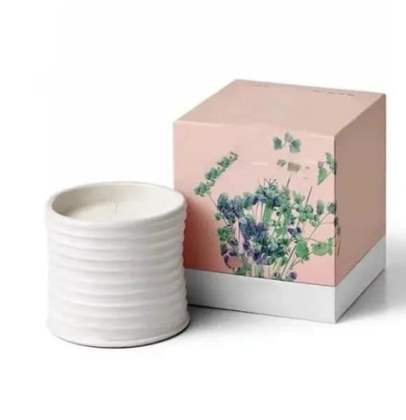 Wholesale Jars, Pottery Scented With Premium Fragrance, Ivy Aromatherapy, Decorative Home Gift - 8Oz Candle Jar B5