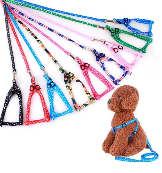 1.0 * 120cm Dog Strap Leashes Nylon Printed Adjustable Pet Collar Dog Cat Animal Accessories Pet Necklace Rope Dog Supplies