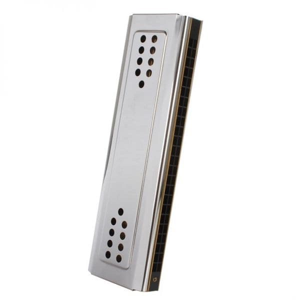 Professional Swan 24 Holes Key Of C&G Double Side Tremolo Harmonica
