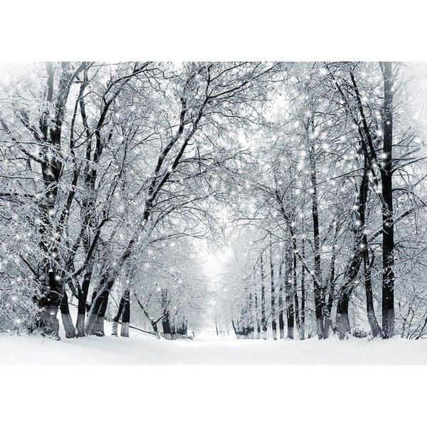 Christmas Pine Cones Snow Bokeh Photography Backdrops Vinyl Cloth Studio Background for Children Baby Photocall Photophone