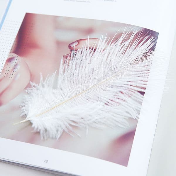 Natural Ostrich Feathers Photography Props Jewellery Background Fotografia Studio for Rings, Earrings, Bracelet, Necklace