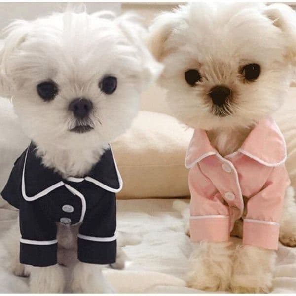 2026 Summer French Pajamas Pomeranian Bear Bullfighting Small Dog Teddy Pet Clothes Shirt Feel Comfortable When Touched Free Shipping
