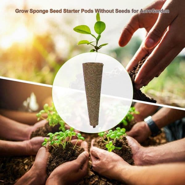 Seed Pods Grow Sponges With Many Small Holes Seed Pods With Many Small Holes Easy To Manage Reduce Workload Breathable Reusable