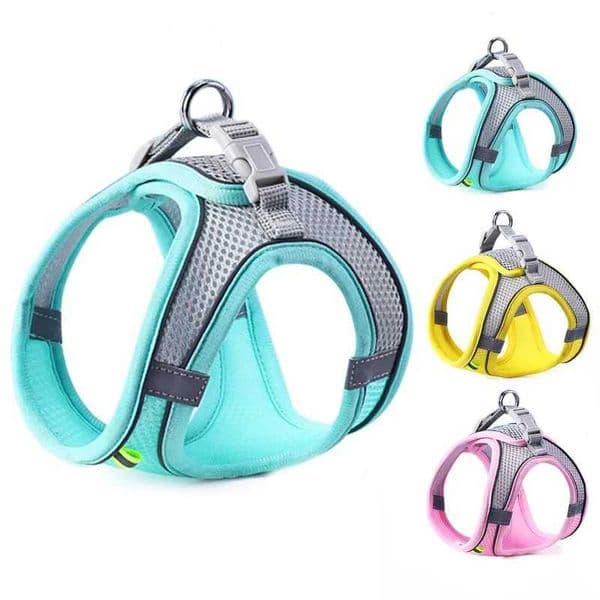 Cat Dog Harness Vest Chest Rope Set Reflective Breathable Adjustable Pet Harness for Small Medium Dogs Outdoor WalkingXJ241114