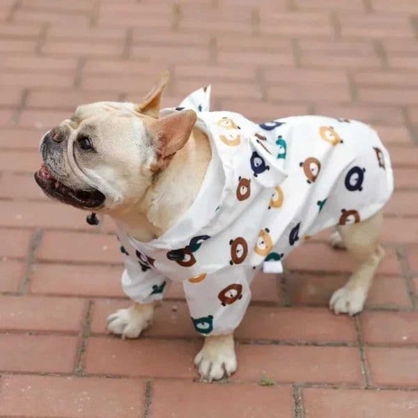 Pet dog raincoat dog French bulldog summer waterproof clothing dog raincoat dog Bichon Schnauzer Welsh Kirky M241116