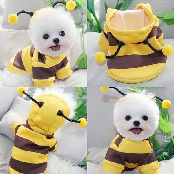 Bee pet coat clothing wool clothing dog cat hoodie fancy costume Halloween role-playing sweater dog hoodie M241116