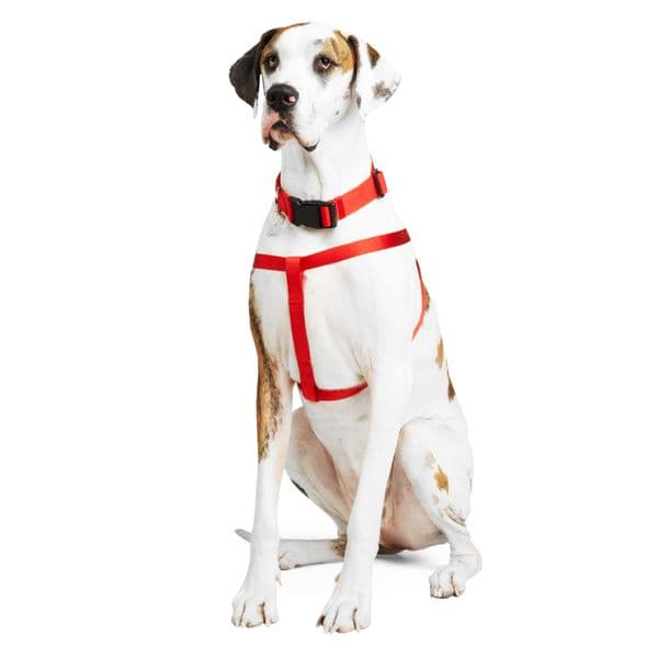 YOULY Adjustable Dog Harness, Red, X-Large/XX-Large 123