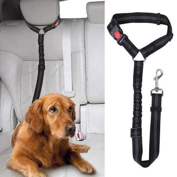 Dog Car Seat Belt Dog Tether for Vehicle Pet Safety Leads Elastic Backseat Rope for Dog Harness Collar Travel Daily UseXJ241122