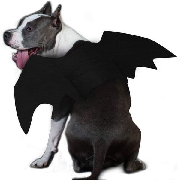 Luxury Wings, Pet Costume Small Medium Dogs, Cosplay Bat dog Wings cat For Cat Dog Halloween Party Decoration Free Shipping