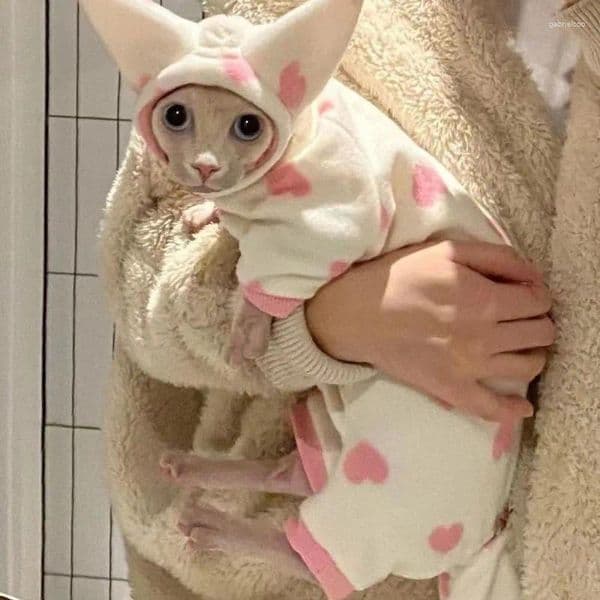 Cat Costumes 2024 Autumn Hairless Clothes Warm Thickened Plush Four Legged Clothing