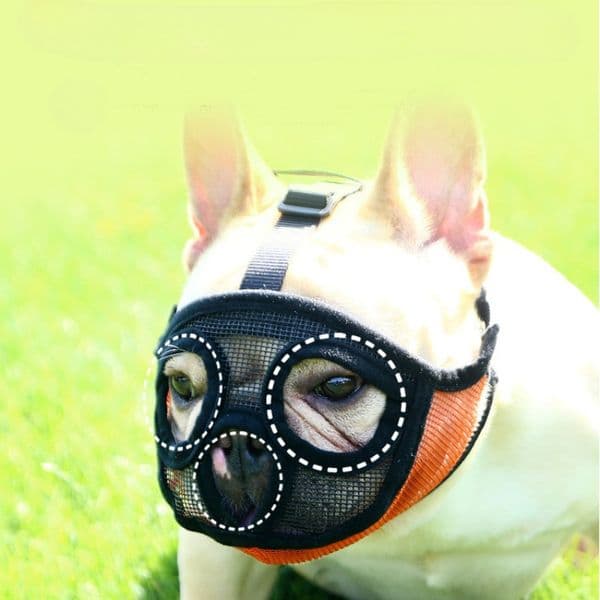 Pet Dog Muzzle Medium Large Dogs Pitbull Golden Retriever Anti Stop Barking Supplies Dog Mouth Guard Adjustable French Bulldog