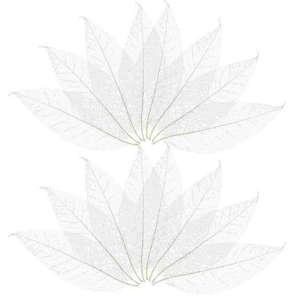 100 Pcs Magnolia Leaf Specimen Tree Leaves Dried Scrapbook Bookmark Accessory DIY Materials Natural for Craft Project