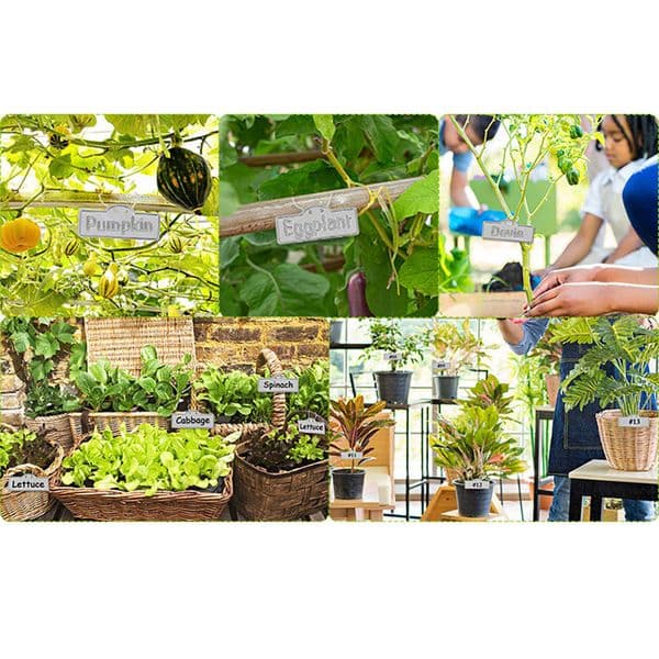 Garden Plant Labels Waterproof Aluminum Tags Nursery Markers Flower Pots Seedling Sign Mark DIY Garden Decor Tools