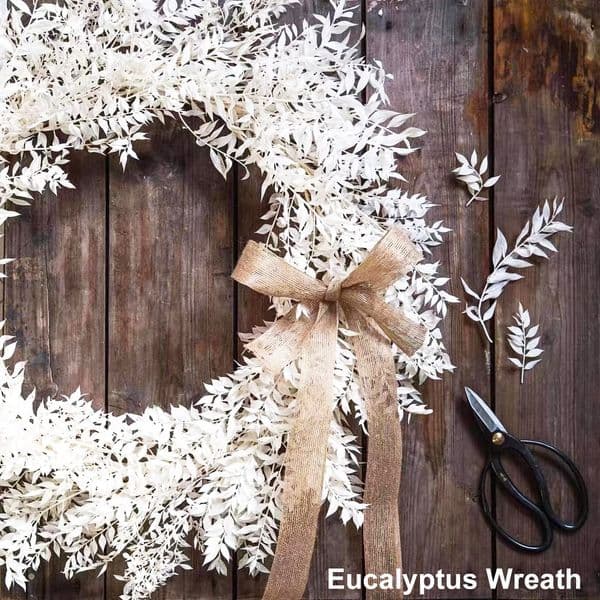 Dried Real Eucalyptus White Ruscus 5 Stems 16" Natural Fresh Plant Bunch for Boho Wedding Home Party Greenery Vase Decor Flowers