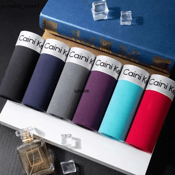 2024 New Fashion Designer Underwear Men Boxer Shorts Men Soft Underwear Men Luxury Brand Comfort Boxer Shorts Men Multicolor Boxer Shorts Stripes