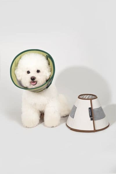 Pet Cat Dog Elizabeth Circle Anti-lick Ring Pet Head Cover Anti-bite Mesh Breathable Cone 241009