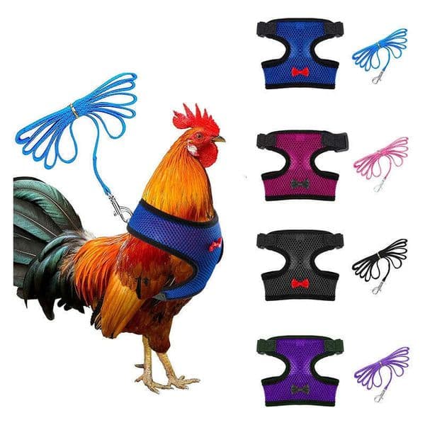 Adjustable Mesh Chicken Comfortable Breathable Vest Training Harness And Leash With Hing Belt For Duck Goose Hen Small Pets