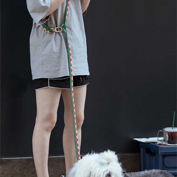 Soft Dog Adjustable Double Head Nylon Leash Running Hands Free Elastic Training Pet Bungee Jumping Dog Leash Expandable Pet Rope