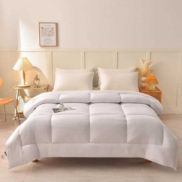 Winter Warm Quilts Duvet Insert Blanket Filler 220*240 Heavy Goose Down Comforter King Queen Twin Size Winter Luxury BlanketsXJ241024