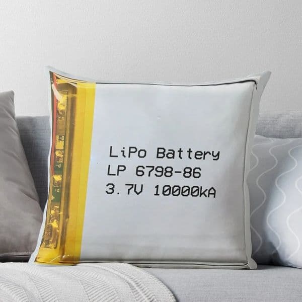 Pillow Case Forbidden Lithium Battery Throw Pillow Couch Pillows Christmas Pillows 241025