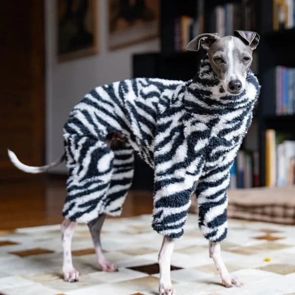 zebra doublesided velvet puppy clothes warm and soft mediumsized dog suitable for small greyhoundswhippets 241028