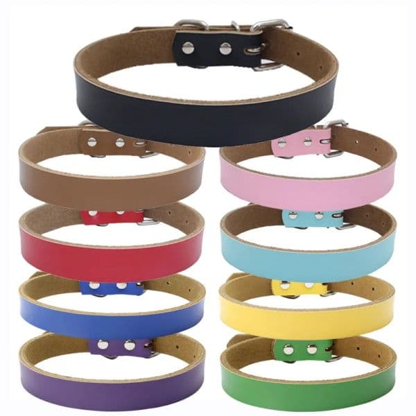 Free Personalization Plain Leather solid color dog collars Puppy dog cat Collar Small Medium Large Extra Large Wholesale