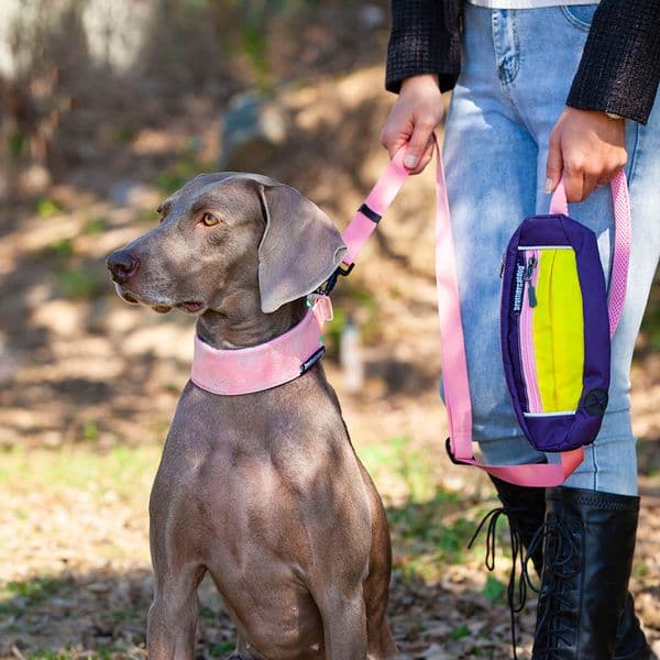 Dog Leashes Waist Bag Traction Rope Outdoor Travel Pet Leashe