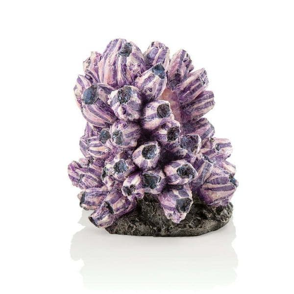 Aquariums Aquarium Sculpture Barnacle Cluster Resin Purple 230923