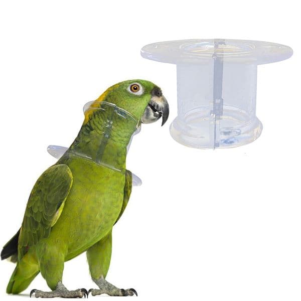 Other Pet Supplies Bird Antibite Collar for Severe Parrot Feather Plucking Neckband Restricts Neck Movement Macaw Cockatoo Size S M L 230130