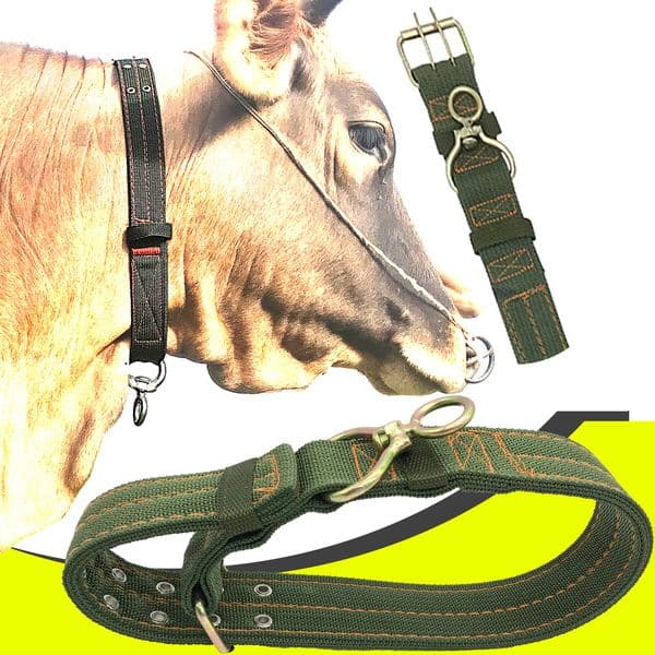 Small Animal Supplies 1PCS Dog Cattle Sheep Goat Donkey Horse Cow Collar Canvas Belt Strong Durable Necklace Belay Tie Veterinary Equipment 230307