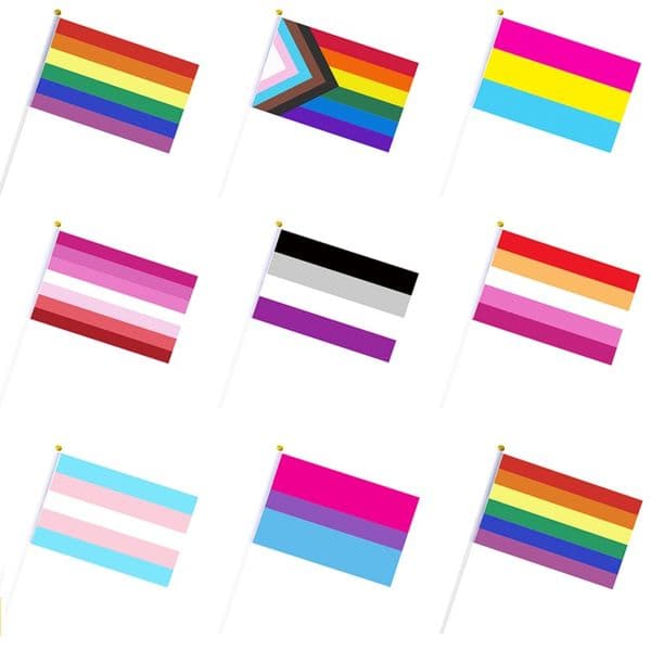 Rainbow Gay Flags Pride Stick Flag 14*21/20*28cm Hand Mini Flag Waving Flags Handhold Using With Gold Top LT399