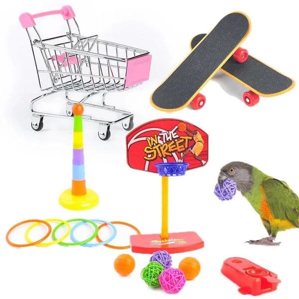 Funny Bird Training Toy Supplies Basketball Stand Lovebird Shopping Cart Shoes Canary Skateboard Parrot Accessories 231225