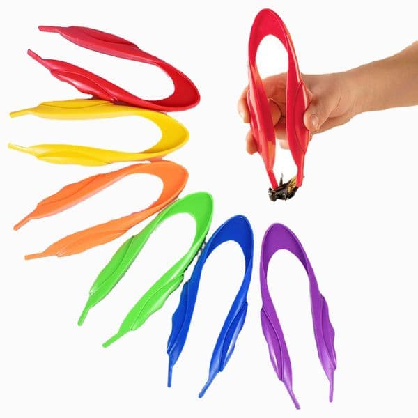 Wholesale 15CM Colorful Insect Clips for Kids Outdoor Exploration Tool, Teaching Tool