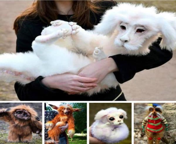 Decorative Objects Figurines 40cm Falkor Never Ending Story Plush From The Neverending Doll Toys Gift For Kids Adluts