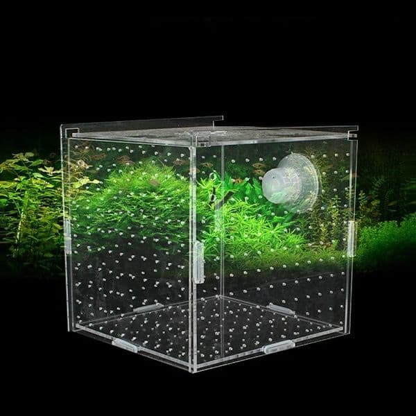 Aquariums Acrylic Isolation Box Fish Tank Transparent Aquarium Small Fry Incubator Breeding Box Single Double Multi-grid Isolation Net 231113