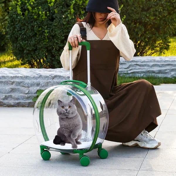 Dog Wheeled handcart transparent pet carrying bags cats wheeled transport vehicles and cat cages 231110