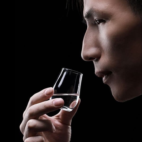 Tumblers ISO Professional Level 50ml Liquor Spirits S Glass International Standard Taste And Judge Alcohol Or Wine Snifer Cup Tumbler 230413