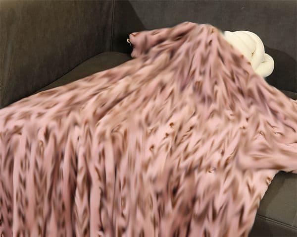 Vintage Style Luxury Blankets Velvet Designer Throw Air Conditioning Room Nap Bedding Household Items Soft Touch Blanket