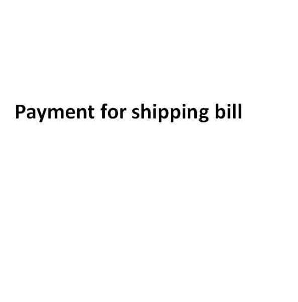Payment for Shiping Bill Ball Caps Expert Top Quality Latest Style multi brand supplier
