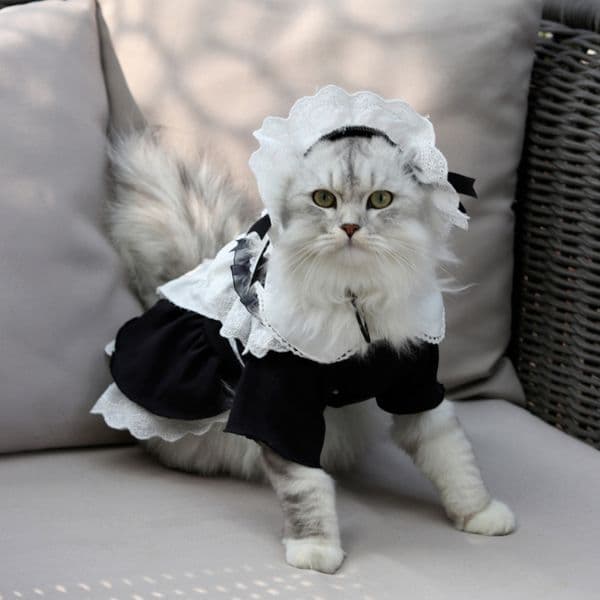 Cat Costumes Cat Maid Dress and Hat Set Cute Cat Custumes Clothes Kitten Pet Cosplay Skirt 220908