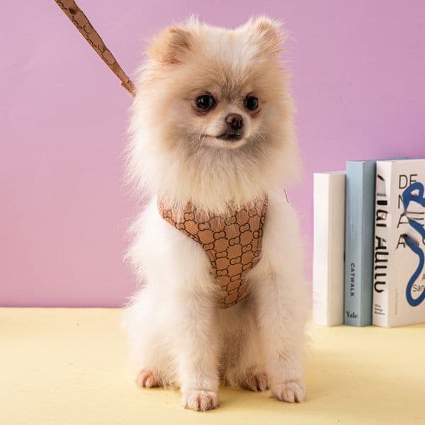 Pet Supplies Dog Collars Leashes Printed Patterns Fashion Sets