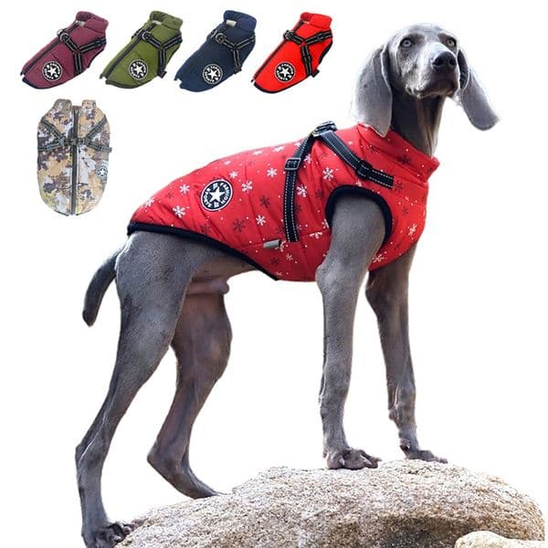 Dog Apparel Drop Clothes for small dogs winter dog jacket with harness 221109