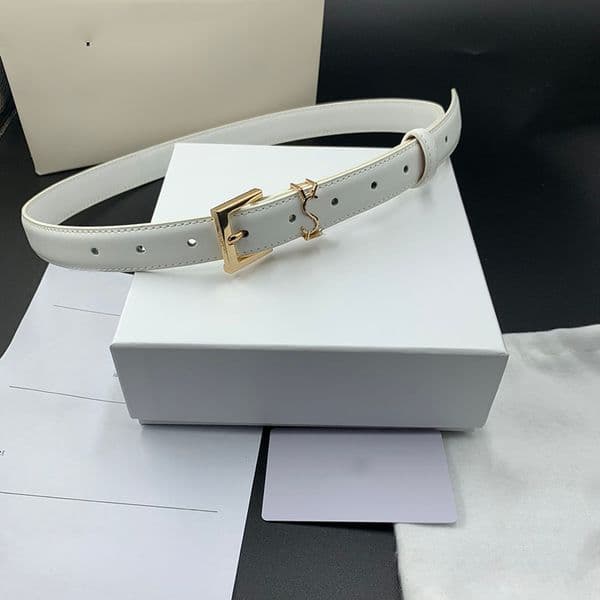 Luxury Cowskin Belts Designer Belt For Women Pins Buckle Fashion Letter Girdle Cintura Ceinture Luxe Width 2.5cm Top Cinture Mens Waistband