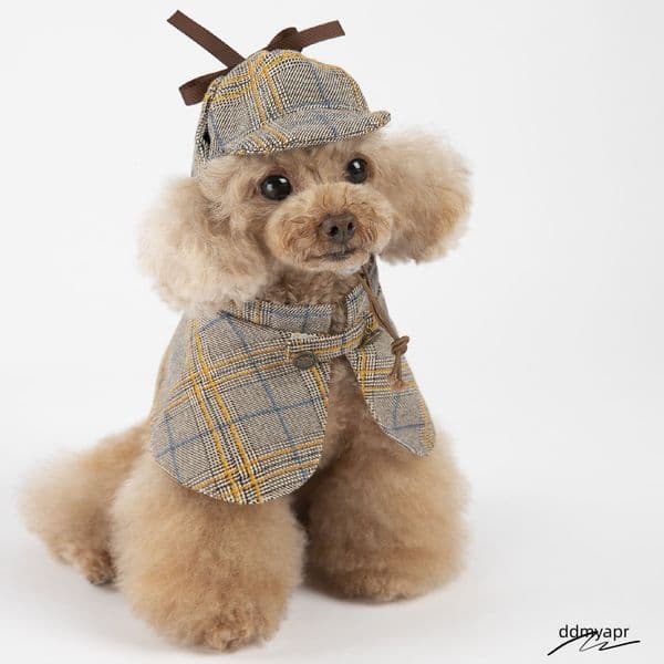 Dog Costume-Cute Detective Pet Clothes Set Halloween ddmyaug Cosplay Party Outfit Winter Fashion Cape Cloak Hat For Small Medium Dog, Cat Kitten XXL A572 ddmyaug