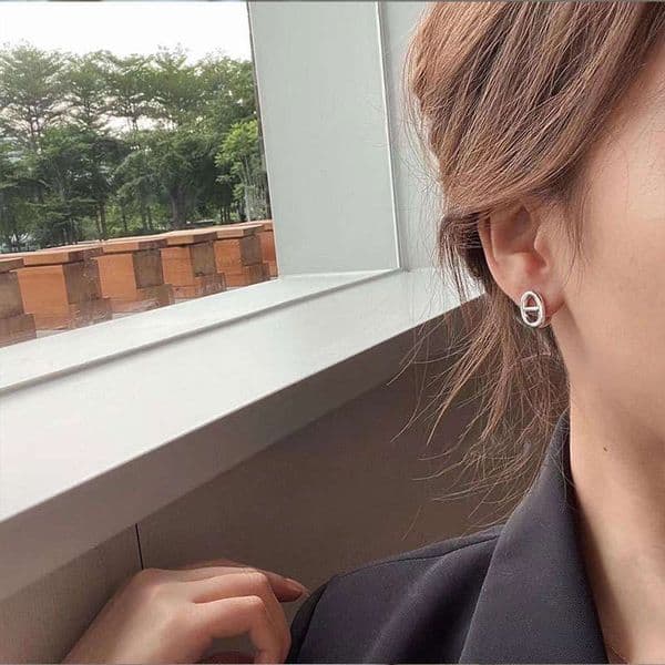 DH collections 2025 Summer: Korean Style S925 Silver Geometric Pig - Nose Hollow Earrings for Women H260129