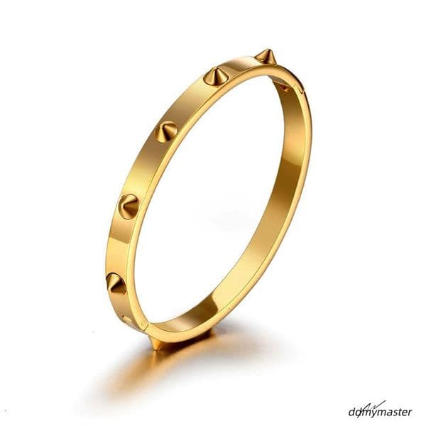 Designer Classic Bracelet Stainless Steel Men Women Riveted Bangle Gold Plated Fashion Jewelry Rivet Design ddmymaster ddmymaster