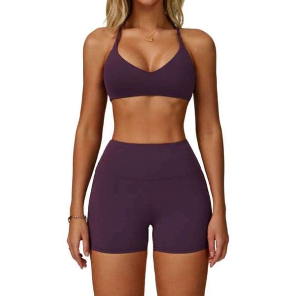 Tz3091 Yoga Women Summer Quick-Drying Fiess Training Suit Beautiful Back Cross Bra + High Waist Shorts 2 Pcs Sports Set