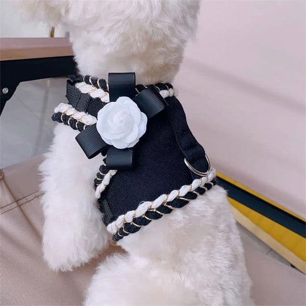 Designer Pet Leash Small Dog Chest and Back Comparison Teddy Bear Pomeranian Dog Leash Dog Harness Puppy Accessories Cat Collar